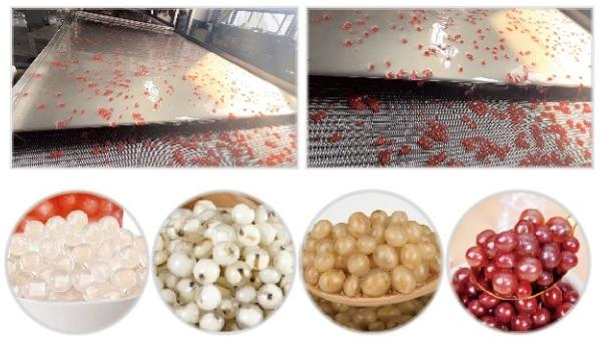 Red-Bean-Juicy-Pearl-Production-Line.png Red-Bean-Juicy-Pearl-Production-Line.png